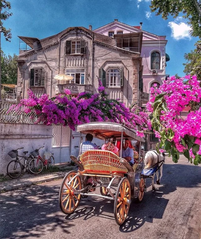 Istanbul Princes’ Islands Full-Day Tour: Büyükada & Kınalıada with Lunch and Hotel Transfer