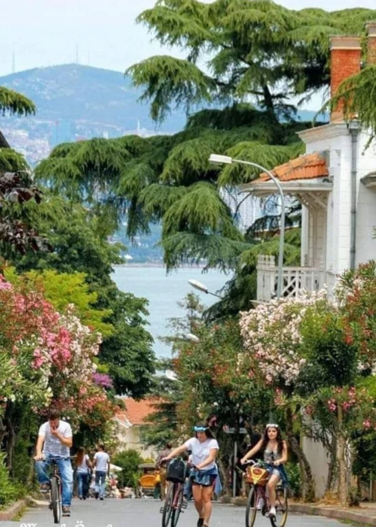 Istanbul Princes’ Islands Full-Day Tour: Büyükada & Kınalıada with Lunch and Hotel Transfer