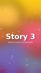 Story 3
