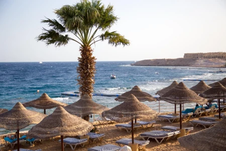 Ankara Kalkışlı Kızıldeniz Rüyası ; Prestij Sharm El Sheikh Turu (452)