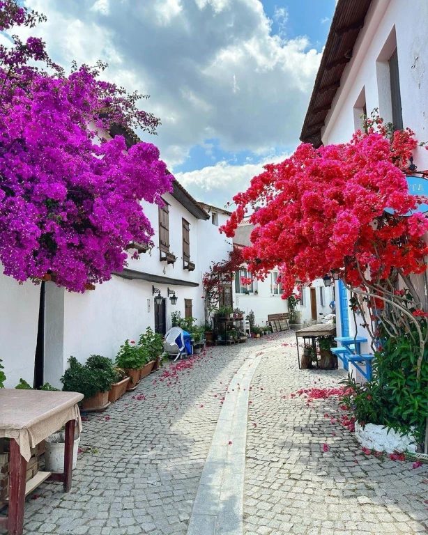Karaburun Nergis Çiçeği Festivali Turu 1 Gece Otel Konaklamalı