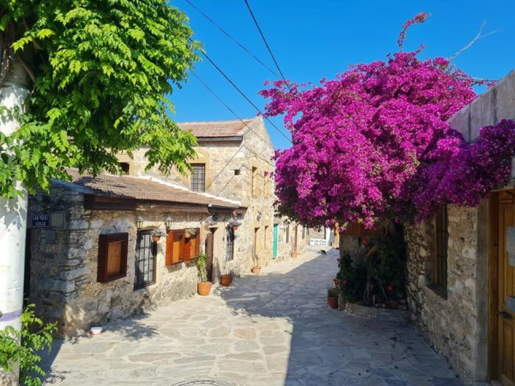 Datça Badem Çiçeği Festivali Turu  1 Gece Otel Konaklamalı