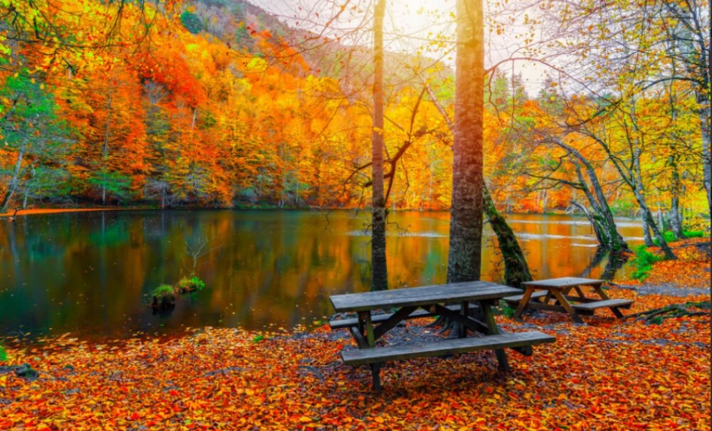 SONBAHARIN YEDİ RENGİ