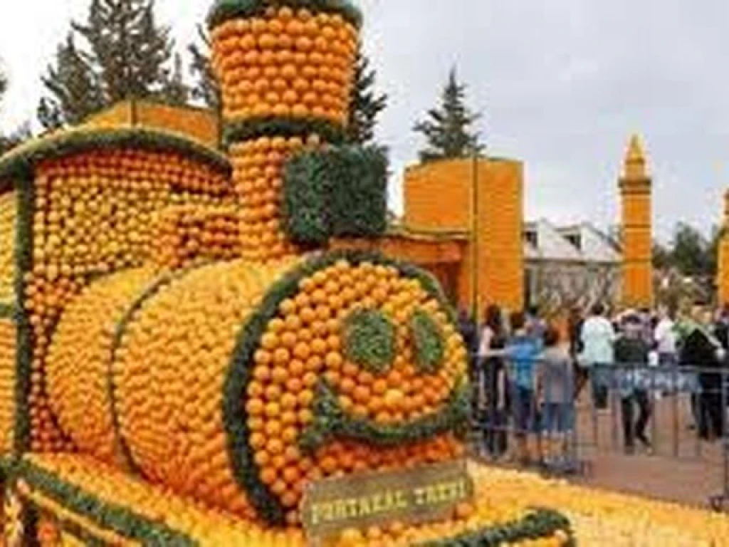 ADANA PORTAKAL ÇİÇEĞİ FESTİVALİ