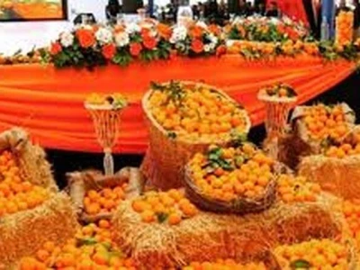 ADANA PORTAKAL ÇİÇEĞİ FESTİVALİ