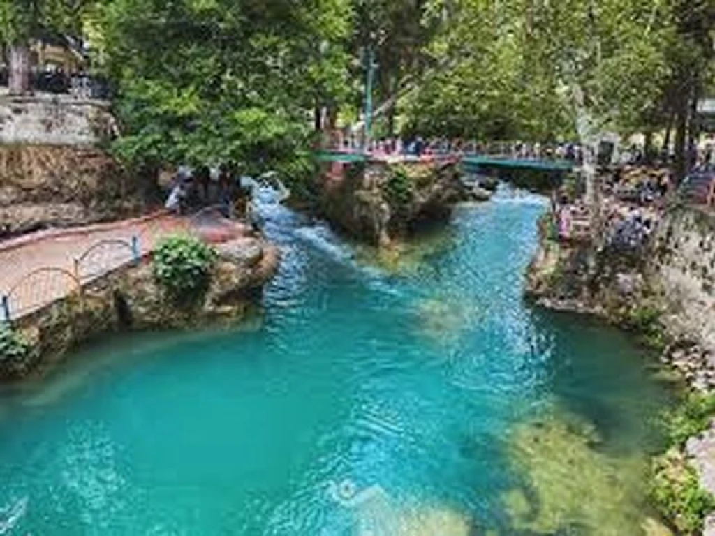 ADANA PORTAKAL ÇİÇEĞİ FESTİVALİ