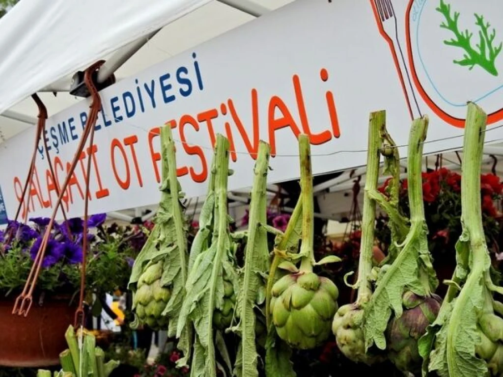 ALAÇATI OT FESTİVALİ TURU