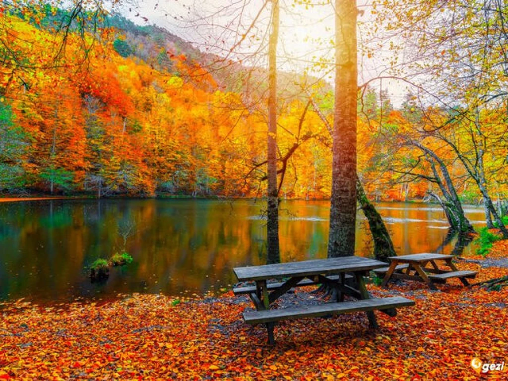 Batı Karadeniz Turu 1 Gece Konaklamalı