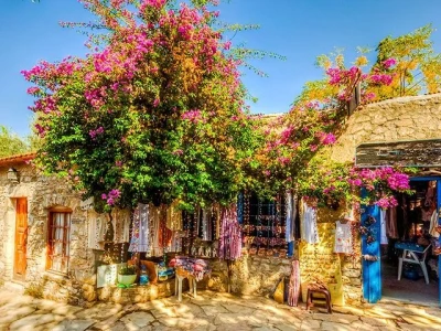 DATÇA BADEM ÇİÇEĞİ FESTİVALİ