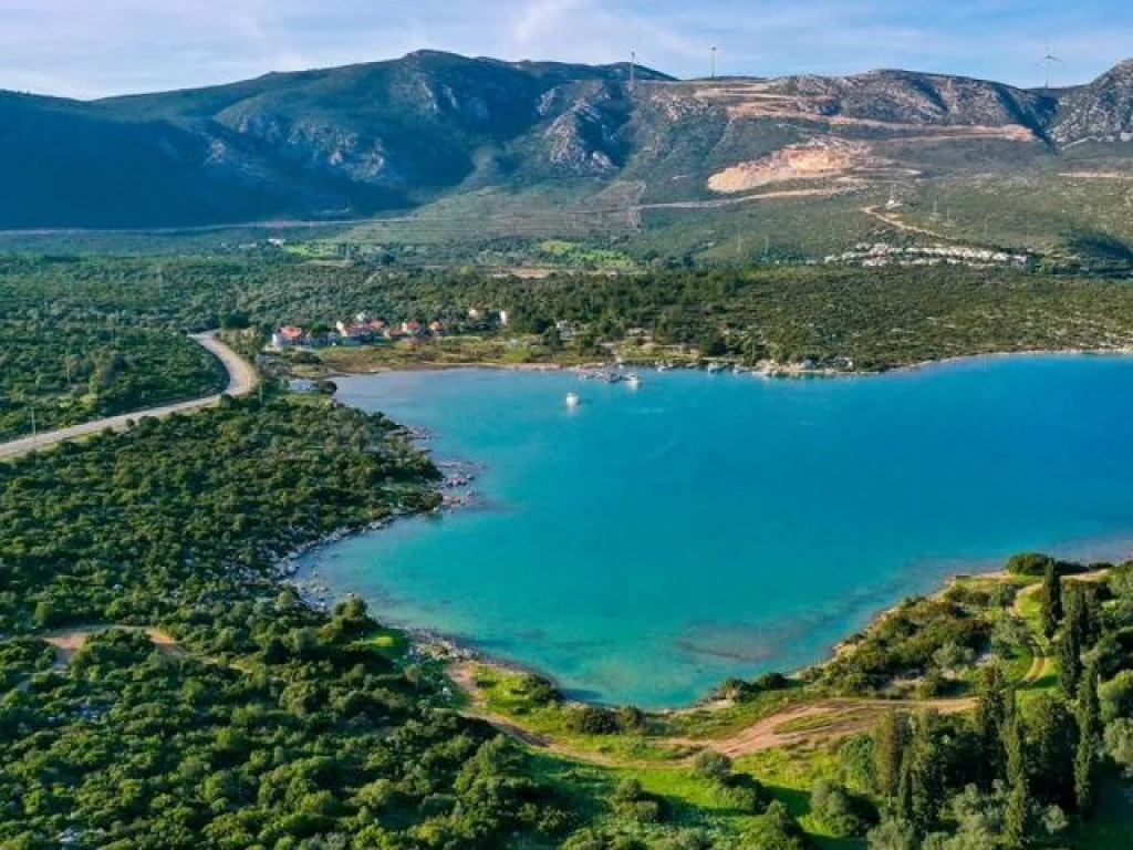 KARABURUN NERGİS ÇİÇEĞİ FESTİVALİ