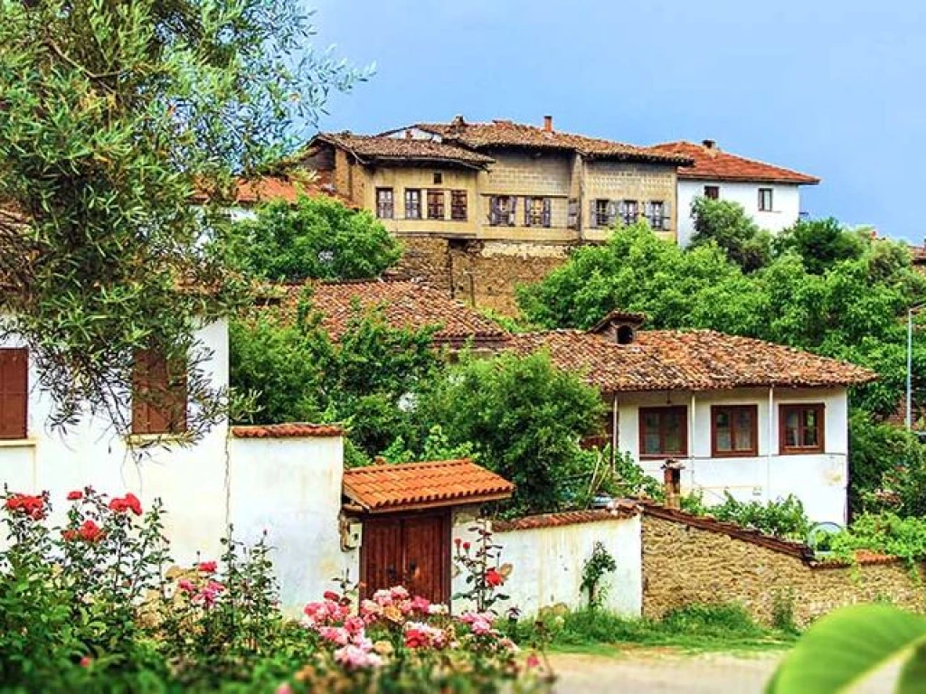 ÖDEMİŞ TİRE BİRGİ GÖLCÜK TURU