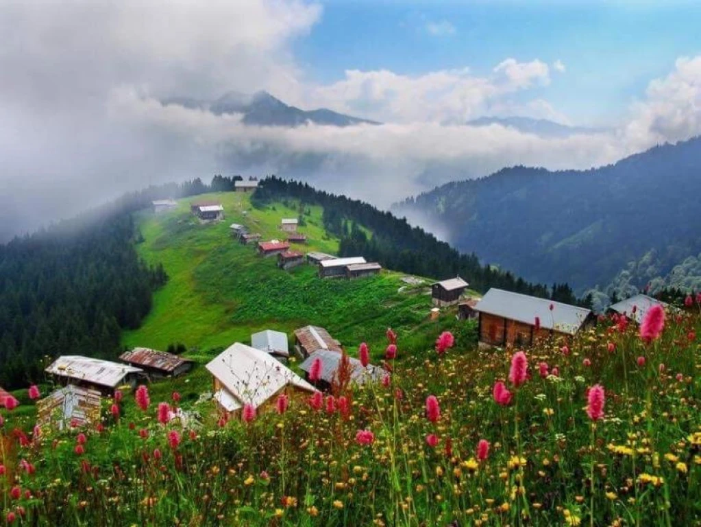PAÜ Gezi -> Doğu Karadeniz Turu | Denizli Çıkışlı | İntoku Travel | Gençlere Özel