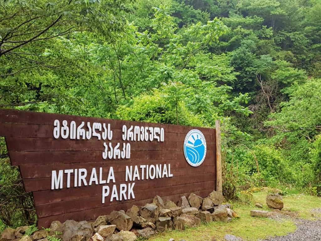 Mtirala National Park Doğa ve Şelale Turu