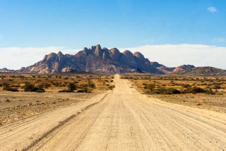 Güney Afrika  Serüveni Safari Turu Big Five'ın Peşinde Türk Havayolları ile 6 Gece CPT-JBN
