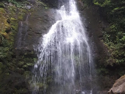 Mtirala National Park Lawang Dan Air Terjun