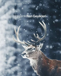 SÖMESTİR TATİLİ ÖZEL TÜM TURLAR DAHİL  BÜYÜLEYİCİ KUZEY IŞIKLARI & LAPLAND GLASS OTEL KONAKLAMALI