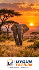 Afrika