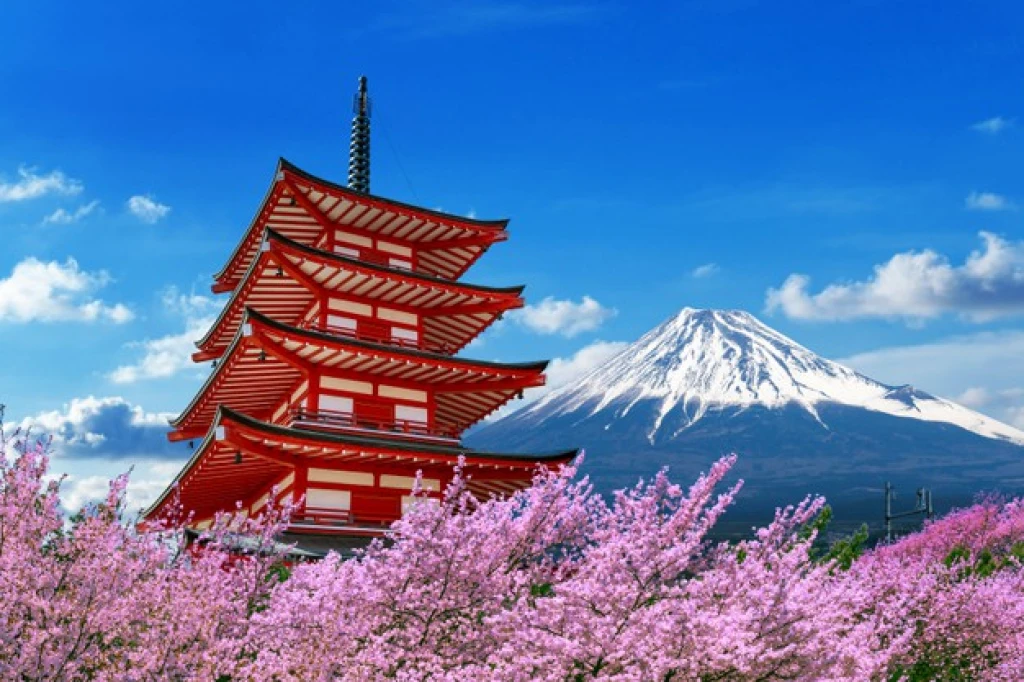 ELEGANT JAPONYA Türk Hava Yolları ile 7 Gece (KIX-NRT) – 42011