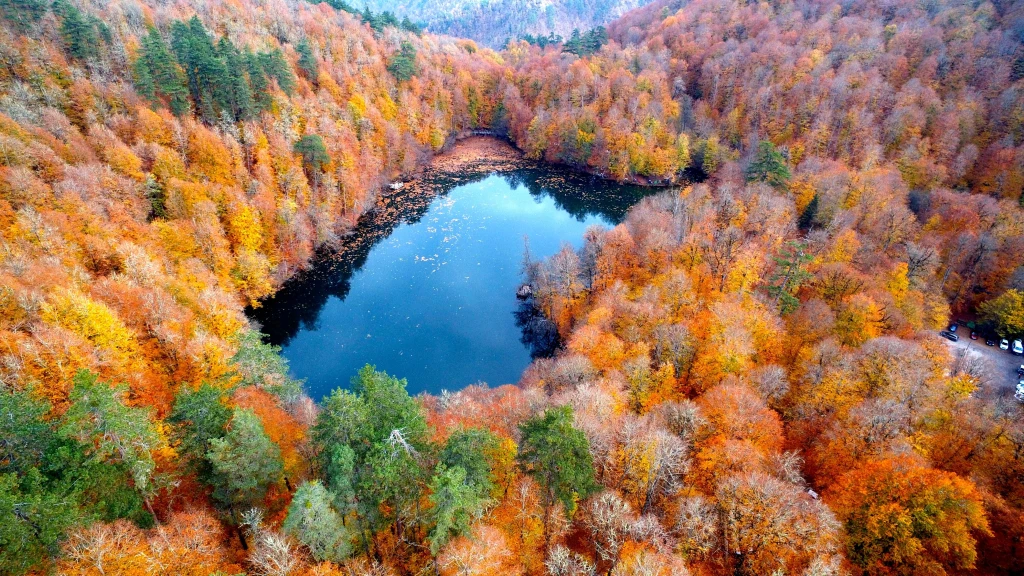 Batı Karadeniz Şile Ağva ve Yedigöller Turu • Yeşilin ve Doğanın İzinde