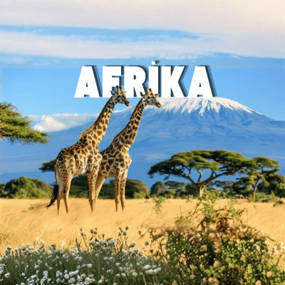 Afrika Turları