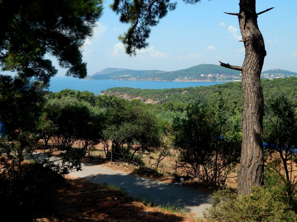 Adalar Turları