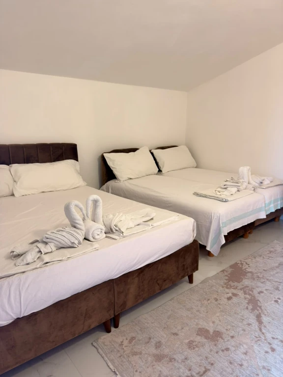 APARTMENT GENEVA