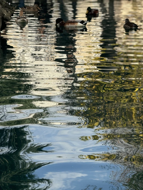 Dolmabahçe Sarayı Turu
