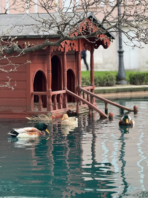 Dolmabahçe Sarayı Turu