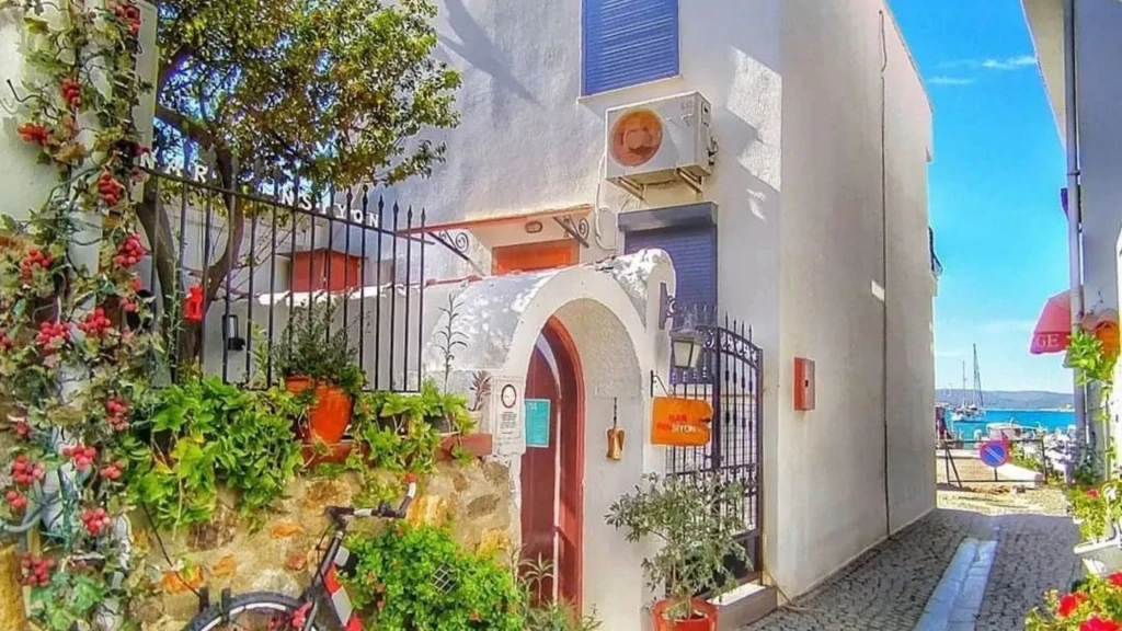 Seferihisar Mandalina Festivali Turu / 1 Gece Otel Konaklamalı / İstanbul Çıkışlı