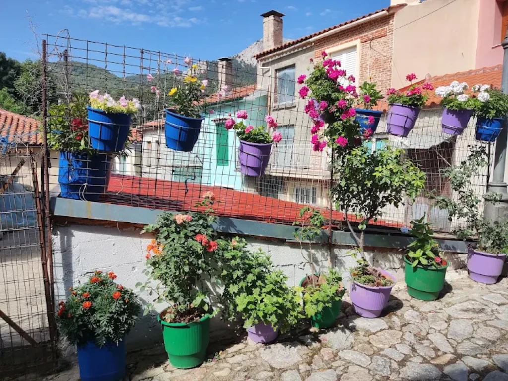 Midilli Agiasos Kestane Festivali ile Midilli'yi Keşfedin