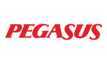 PEGASUS