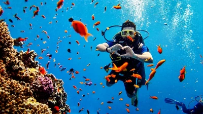 Koh Tao Dalış Tatili: Təcrübə, Təlim və Dalış Paketi Necə Seçilir?