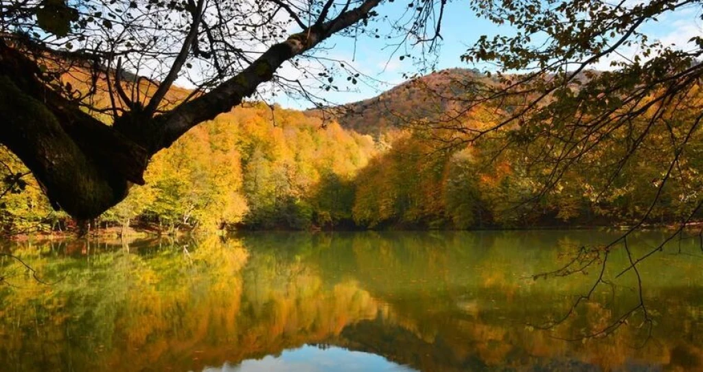 Aydın Çıkışlı Batı Karadeniz Abant Ormanya Safranbolu Yedigöller Amasra Turu
