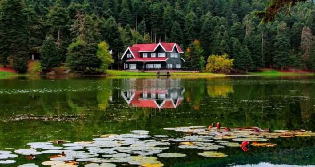 Aydın Çıkışlı Batı Karadeniz Abant Ormanya Safranbolu Yedigöller Amasra Turu
