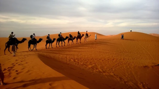 Dubai Çöl Safari Turu – VIP Kamp