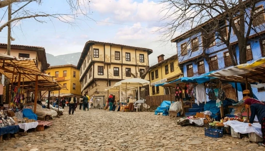 BURSA CUMALIKIZIK,GÖLYAZI,ULUBAT GÖLÜ,TRİLYE,MUDANYA TURU 6 ARALIK 2026