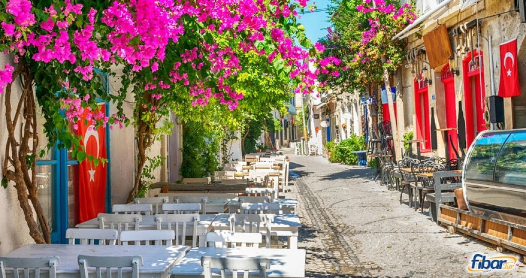 Aydın Çıkışlı Urla Enginar Festivali Sığacık Turu