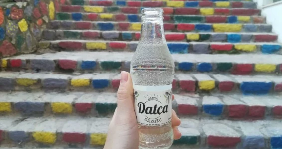 Aydın Çıkışlı Datça Badem Çiçeği Festivali Turu