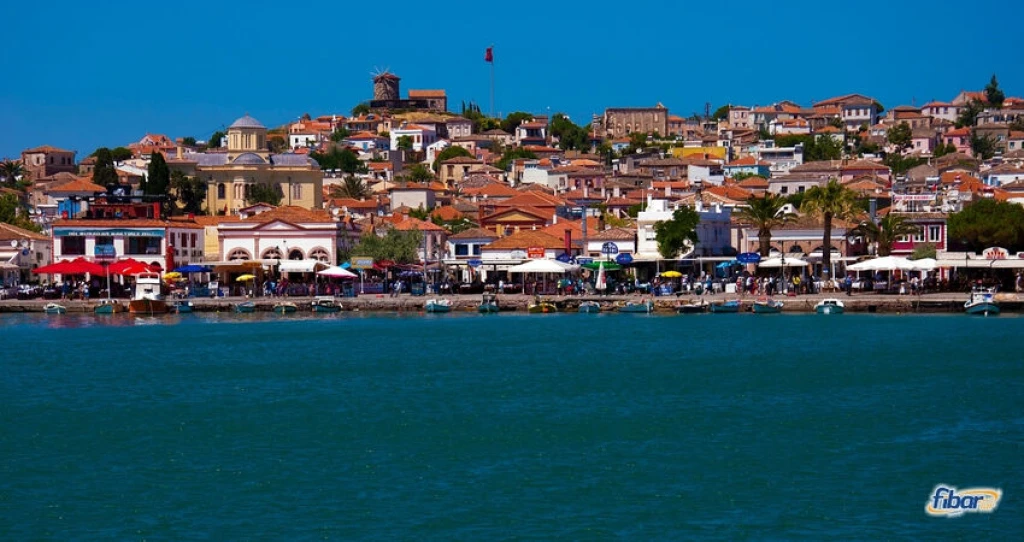 Aydın Çıkışlı Bodrum Acı Ot Festivali Turu