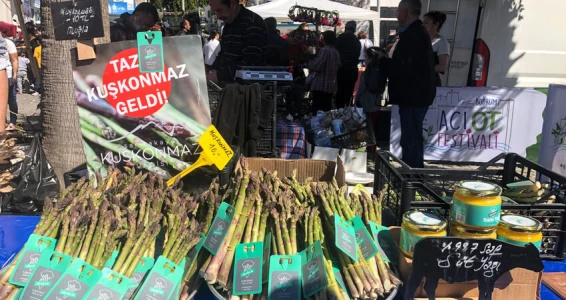 Aydın Çıkışlı Bodrum Acı Ot Festivali Turu